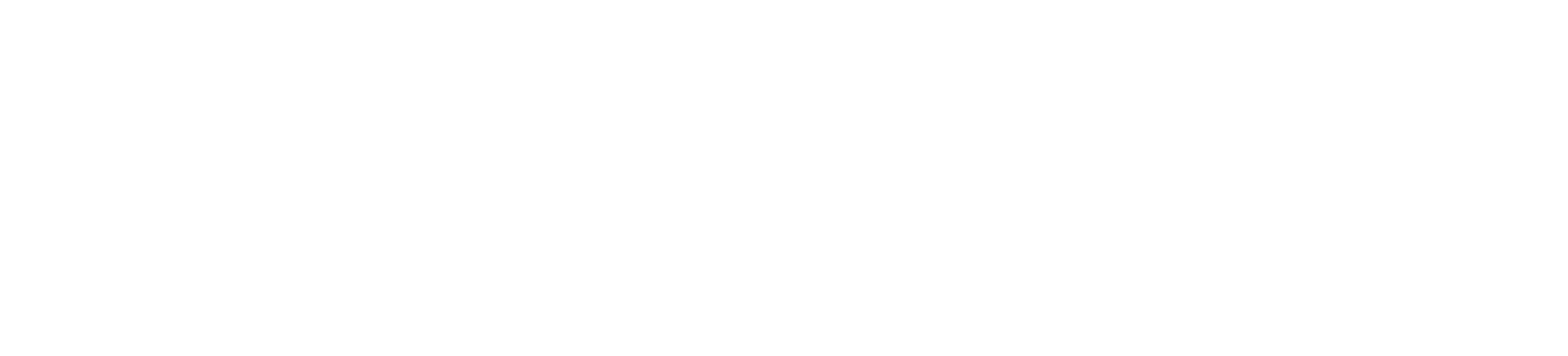 Santa Casa de Presidente Prudente